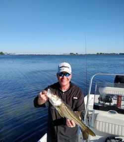 Inshore action near the mangroves