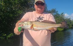 St. Pete fish tales begin here