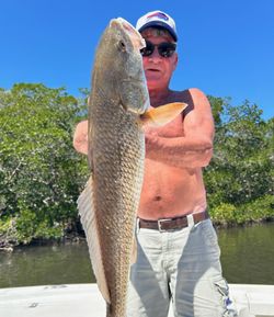 Redfish caught in St. Petersburg