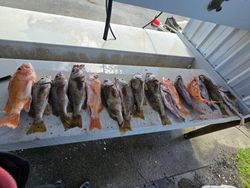 10 fish caught while fishing in Oregon