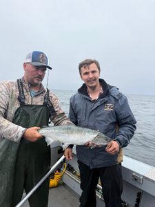 Chinook salmon caught while fishing in Roseburg