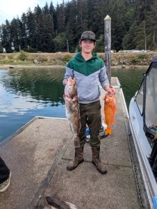 Person fishing in Roseburg