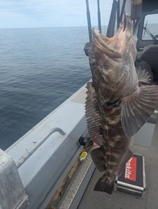 Beautiful fishing landscape in OR