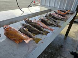 Two fishermen enjoying a day of fishing in Roseburg