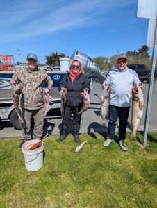 4 large fish caught in Roseburg