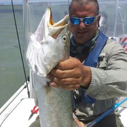 Fishing Huge Sea Trout out in SPI