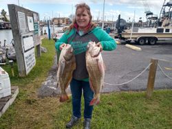 Caught These Red Drums on SPI's best fishing spot!