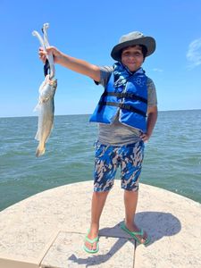 Sea Trout fishing