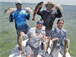 Seven black drum and cobia fishing in TX