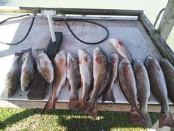 We got Reds today! Fishing trip in Texas