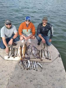 Black Drum, Redfish and Sea Trout all biting today