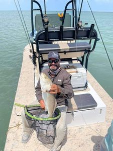Caught this Black Drum in South Padre Island 