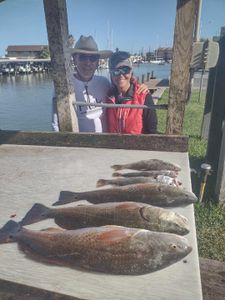 Redfish catch by 2 fishermen in TX
