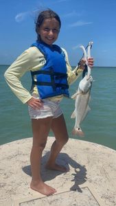 Redfish caught at South Padre Island