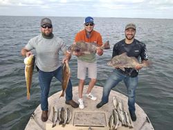 4 fish caught while fishing at South Padre Island