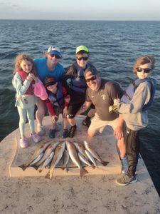 4 fishing catches in Texas