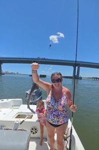 Bonnethead Shark caught during fishing in FL