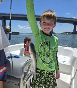 Hardhead Sea Catfish caught while fishing in FL