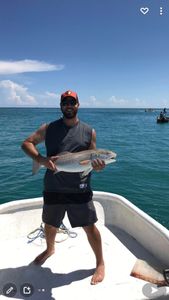 Redfish caught while fishing in Port Orange