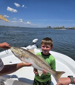 Redfish caught while fishing in Port Orange