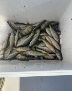 Great fishing trip in OH