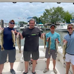 A group of 4 people fishing for 7 walleye fish in Ohio