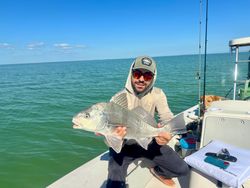 Black drum caught while fishing in Tavernier FL