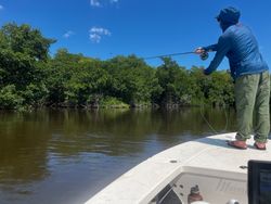 Fishing boat on calm water surrounded by mangrove vegetation in Tavernier FL