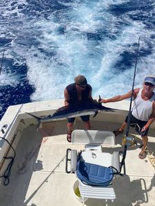 Photo of a 45-inch Atlantic Sailfish caught while fishing in Hawaii