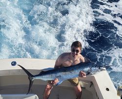 A Blue Marlin fishing in Kailua-Kona