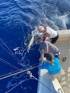 The stunning view of Kailua-Kona, Hawaii, showcasing the vibrant fishing scene.