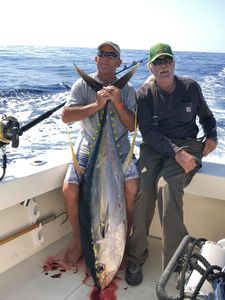 Yellowfin tuna, fishing in HI