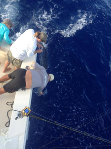 Breathtaking Kailua-Kona landscape, fishing adventure