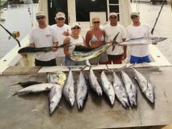 11 wahoo fish, great barracuda, and atlantic bonito caught during fishing trip in Kailua-Kona