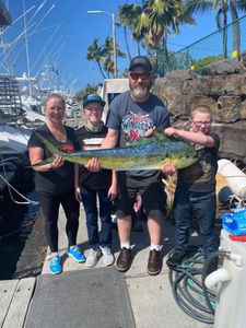 Mahi Mahi or Common Dolphinfish, a big 32-inch fish, caught in HI