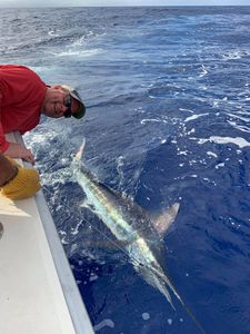 Angler with a big 31-inch fish caught in HI