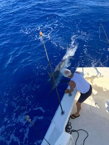Beautiful tropical fishing getaway in HI