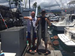 Three huge wahoo fish caught during fishing in HI