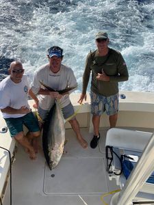 Yellowfin tuna caught in Kailua-Kona, Hawaii