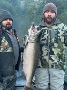 Largest Chinook Salmon catch of the day!