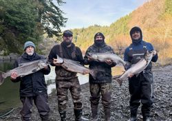 Strong salmon haul on river fishing trip