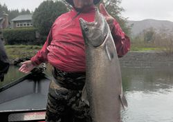 Big coho salmon catch on river fishing trip