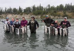 Two bluefish and pink salmon caught by anglers in Port Orford