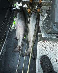 Two anglers fishing in Port Orford