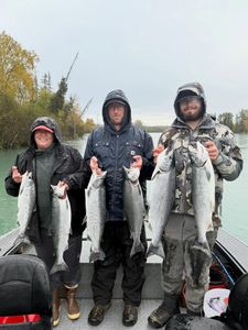 6 rainbow trout, coho salmon, and great barracuda fish caught in Port Orford