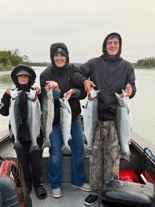 3 coho salmon and rainbow trout caught while fishing in OR