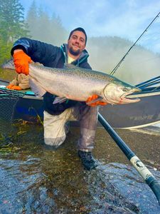 A Chinook Salmon measuring 29 inches caught while fishing in OR