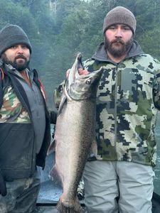 Chinook Salmon caught while fishing in OR
