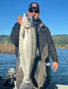 Chinook Salmon caught while fishing in Port Orford