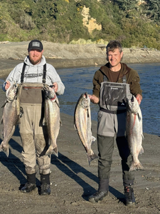 4 coho salmon caught while fishing in Port Orford
